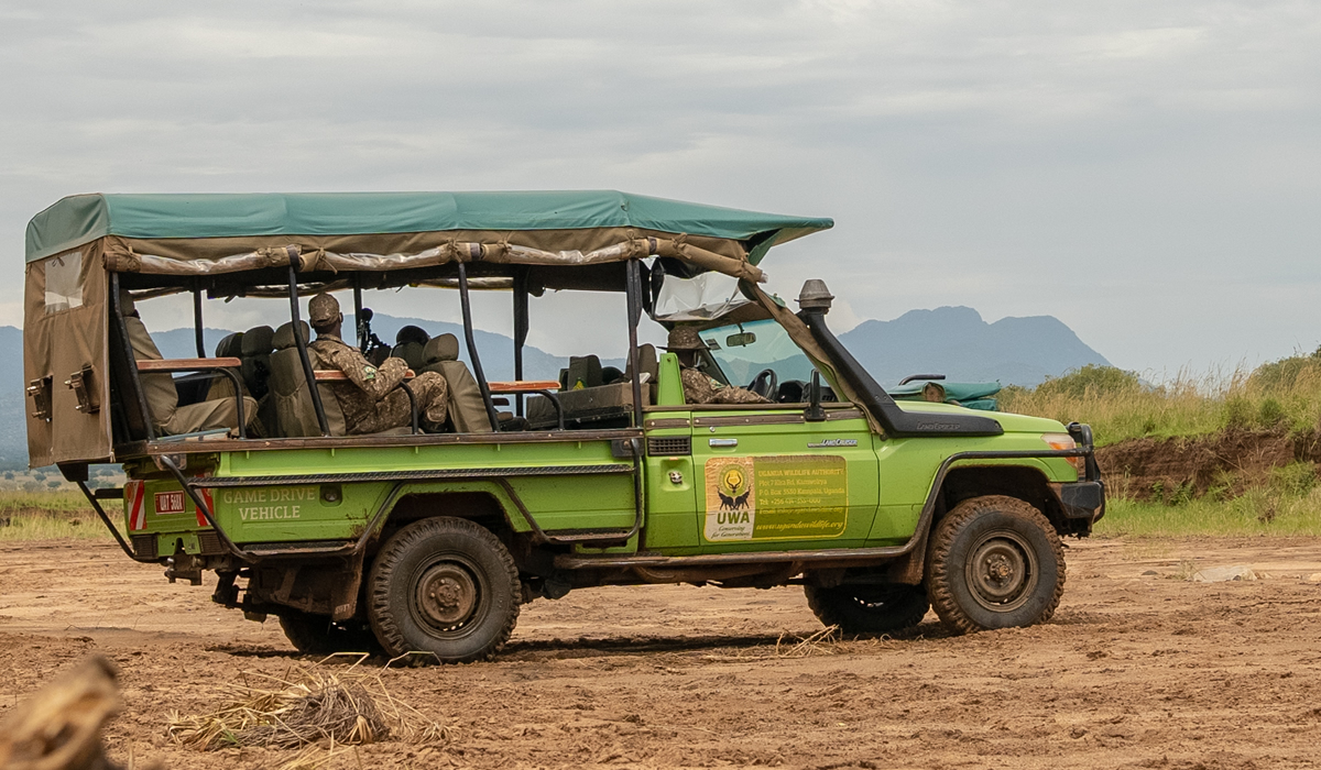 Game Drive Experience in Uganda National Parks